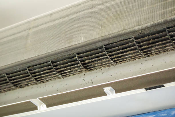 Best Ductwork Cleaning Services  in Avenal, CA